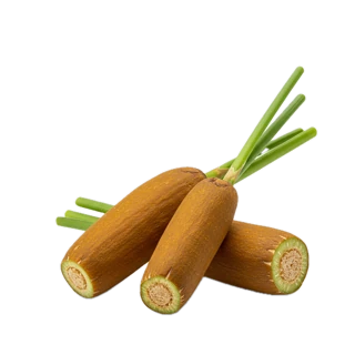 Bulrush fragrance note